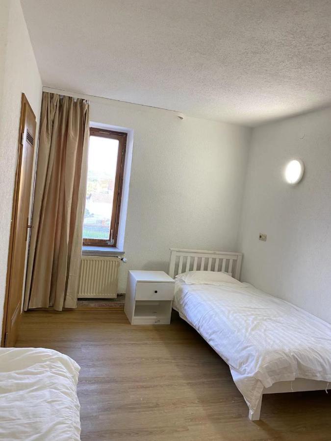 Panda Royal Klettgau Hotel Erzingen Bagian luar foto